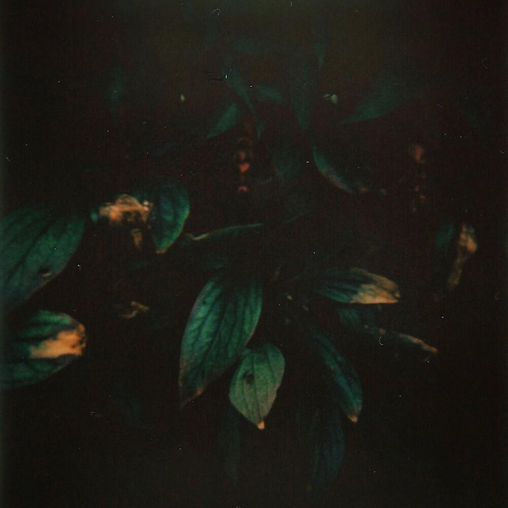 Nobuka - Gesamt 02