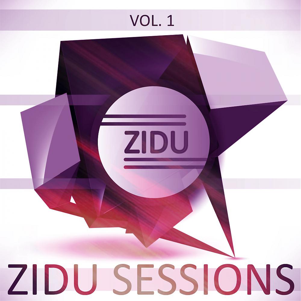 Постер альбома Zidu Sessions Vol. 1