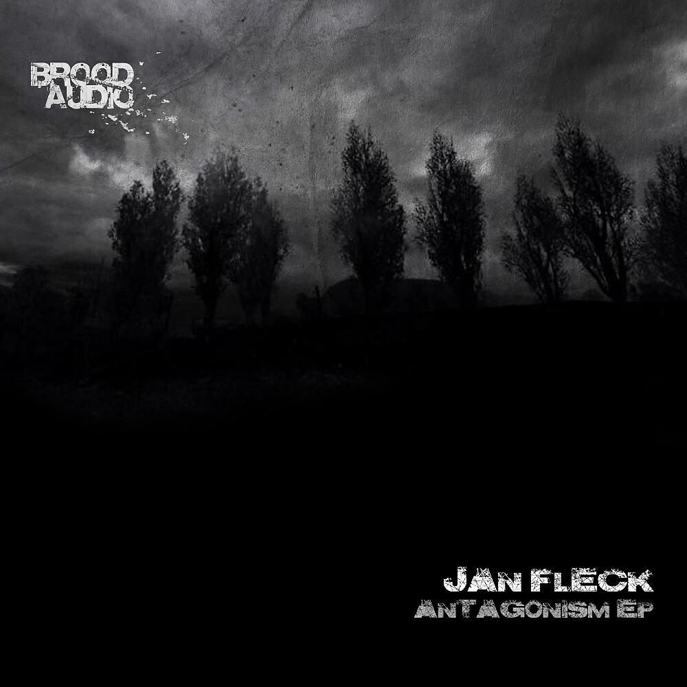 Jan Fleck - Ground Level