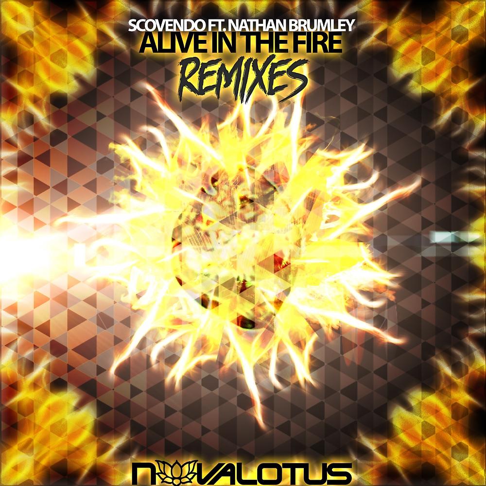 Постер альбома Alive In The Fire - The Remixes