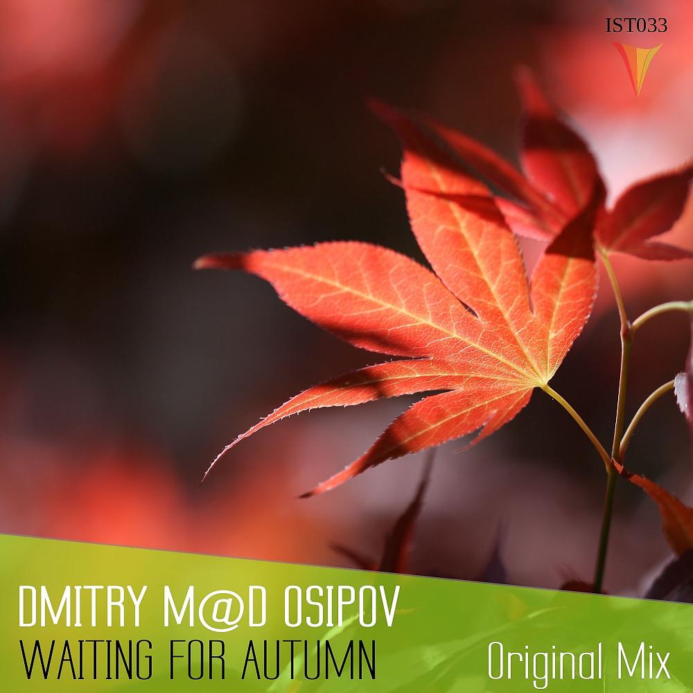Постер альбома Waiting For Autumn