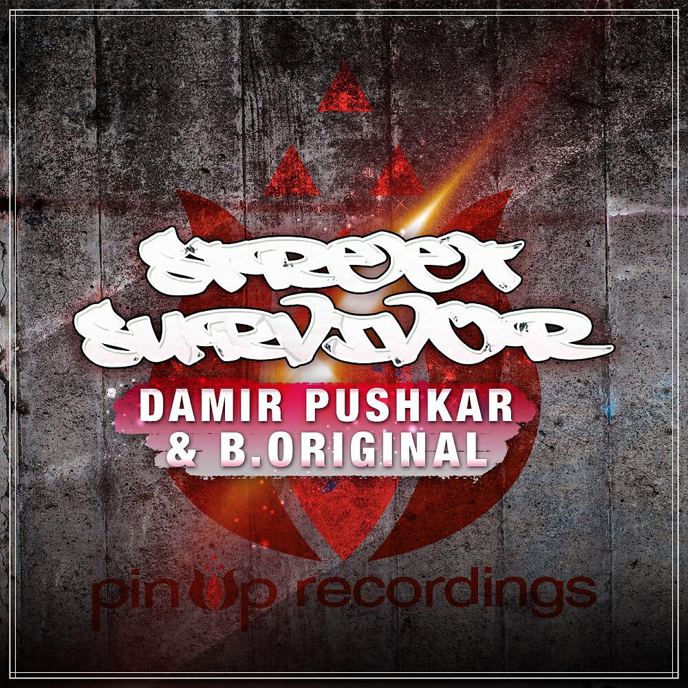 Damir Pushkar - Street Survivor (Instrumental)