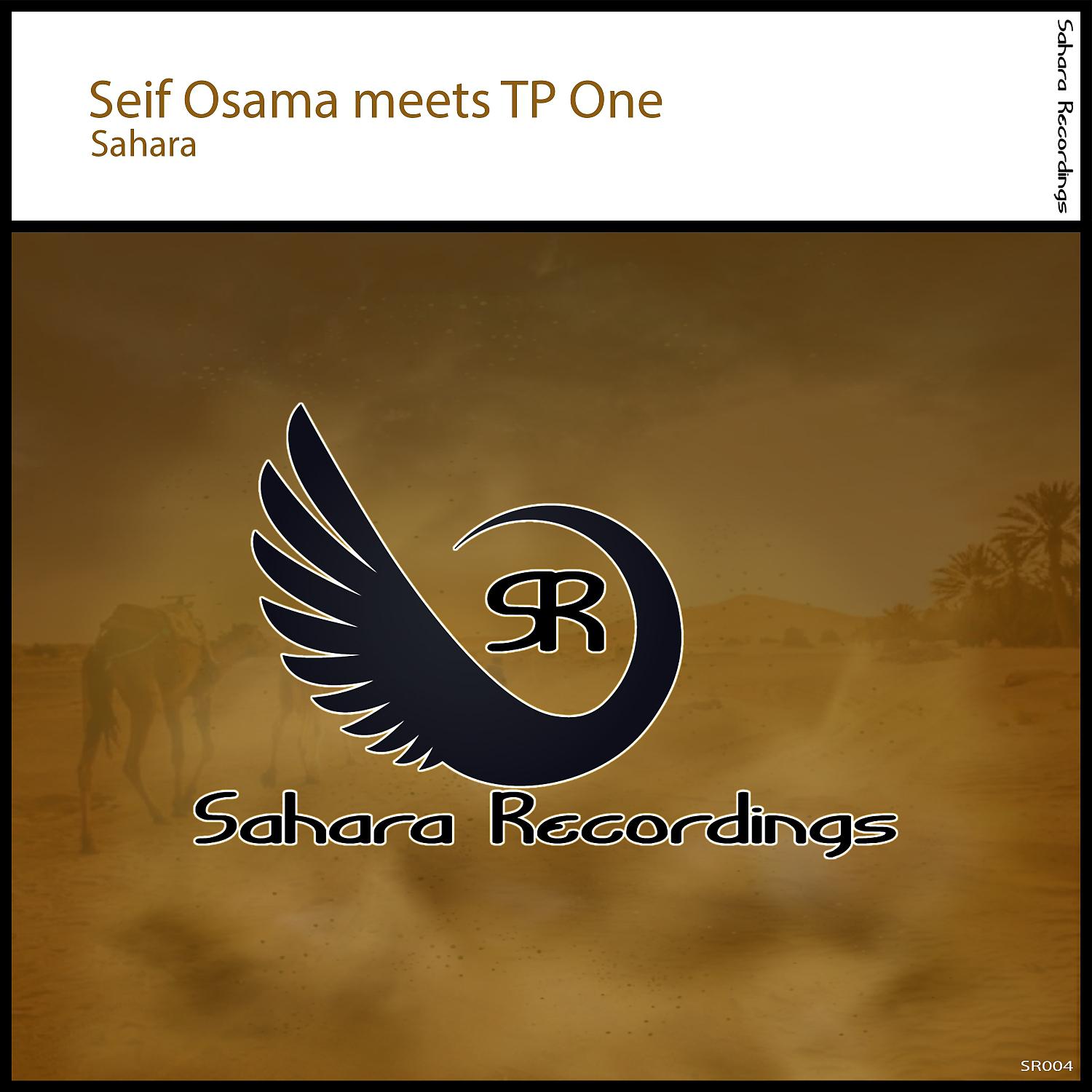 Постер альбома Sahara (Original Mix)
