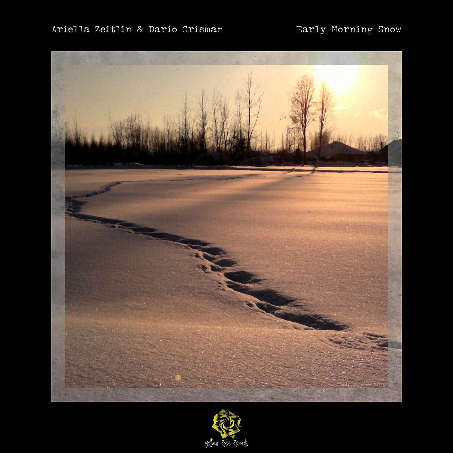 Ariella Zeitlin - Early Morning Snow
