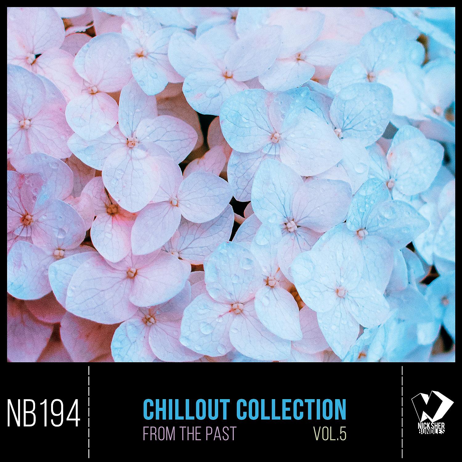 Постер альбома Chillout Collection from the Past, Vol.5
