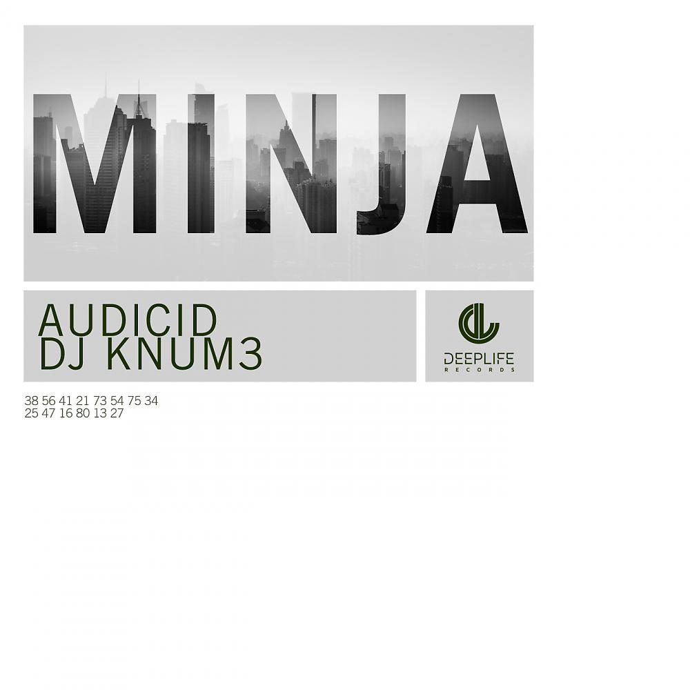 Постер альбома Minja