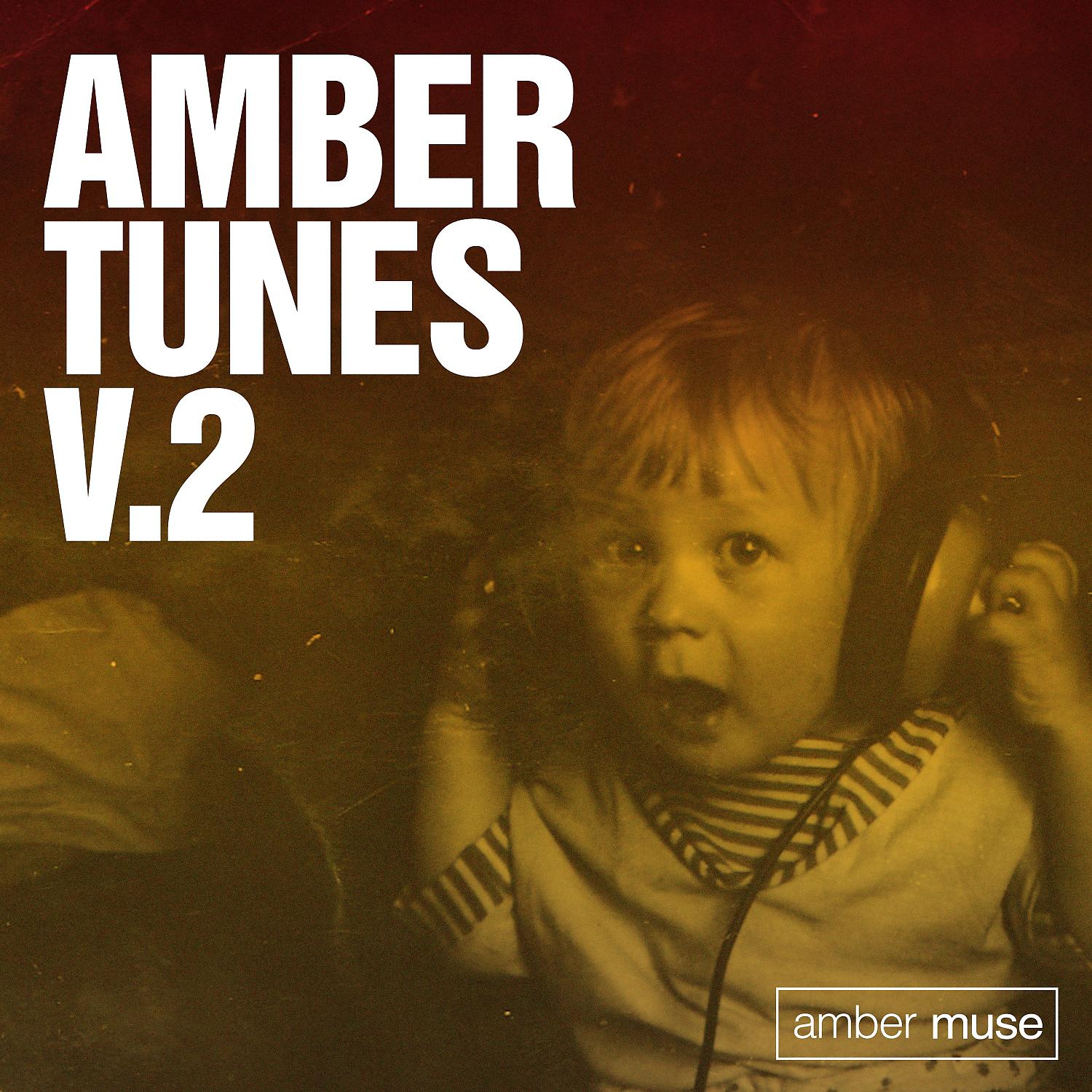 Постер альбома Amber Tunes V.2