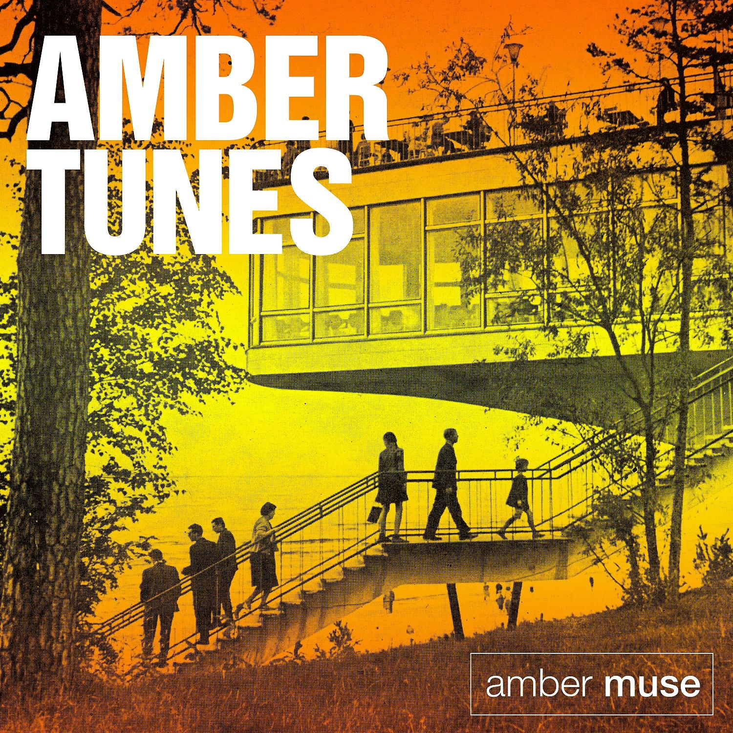 Постер альбома Amber Tunes