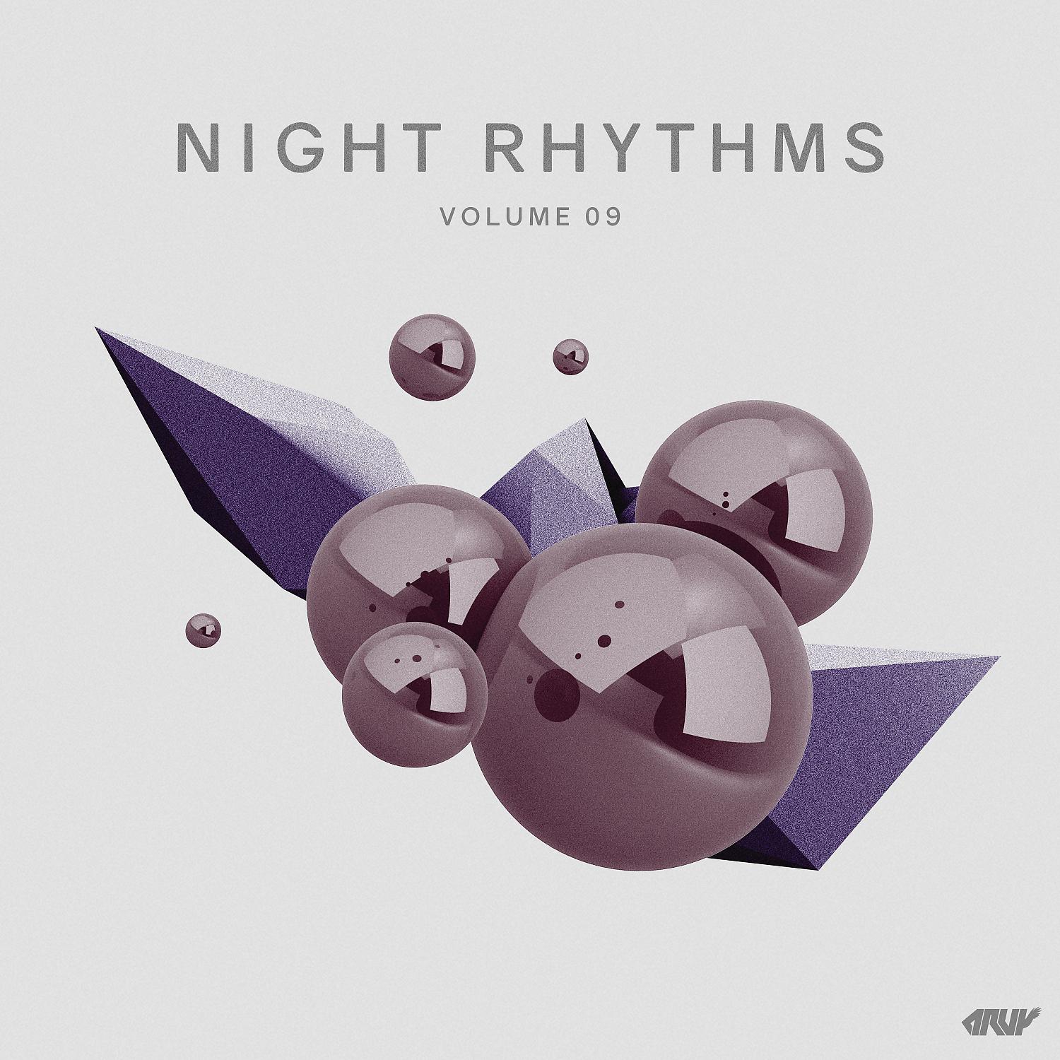 Постер альбома Night Rhythms, Vol.09