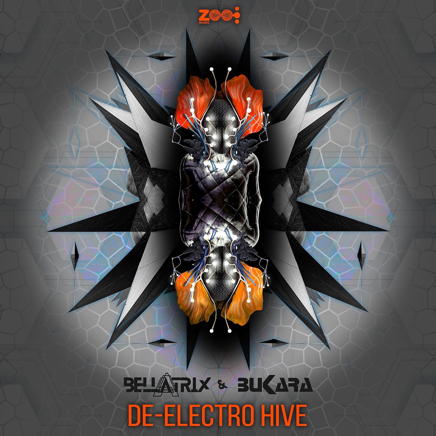 Постер альбома De-Electro Hive