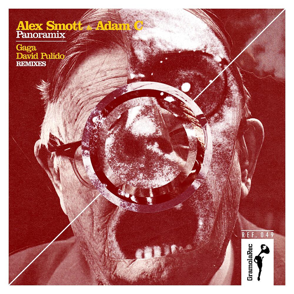 Alex Smott - Panoramix (David Pulido Remix)
