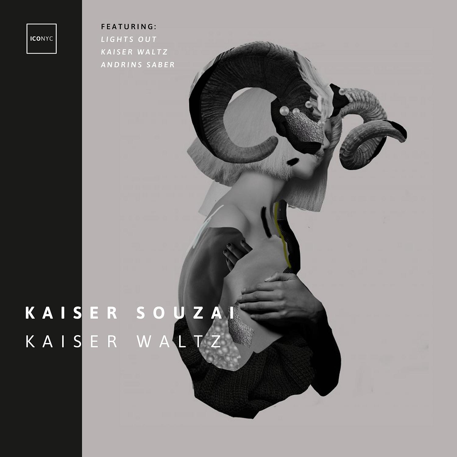 Постер альбома Kaiser Waltz
