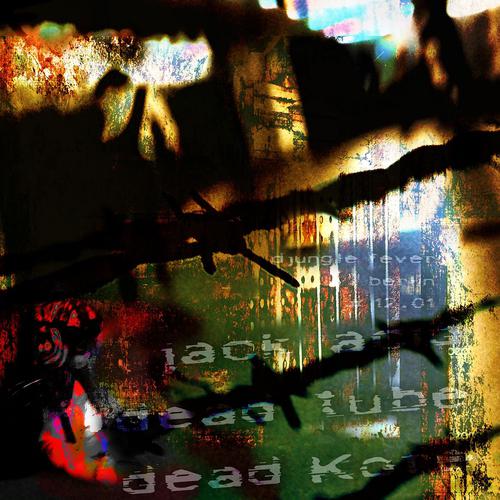 Постер альбома Dead Tube Dead Kore