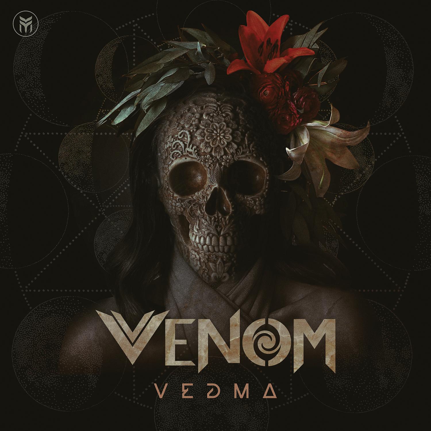 Постер альбома Vedma