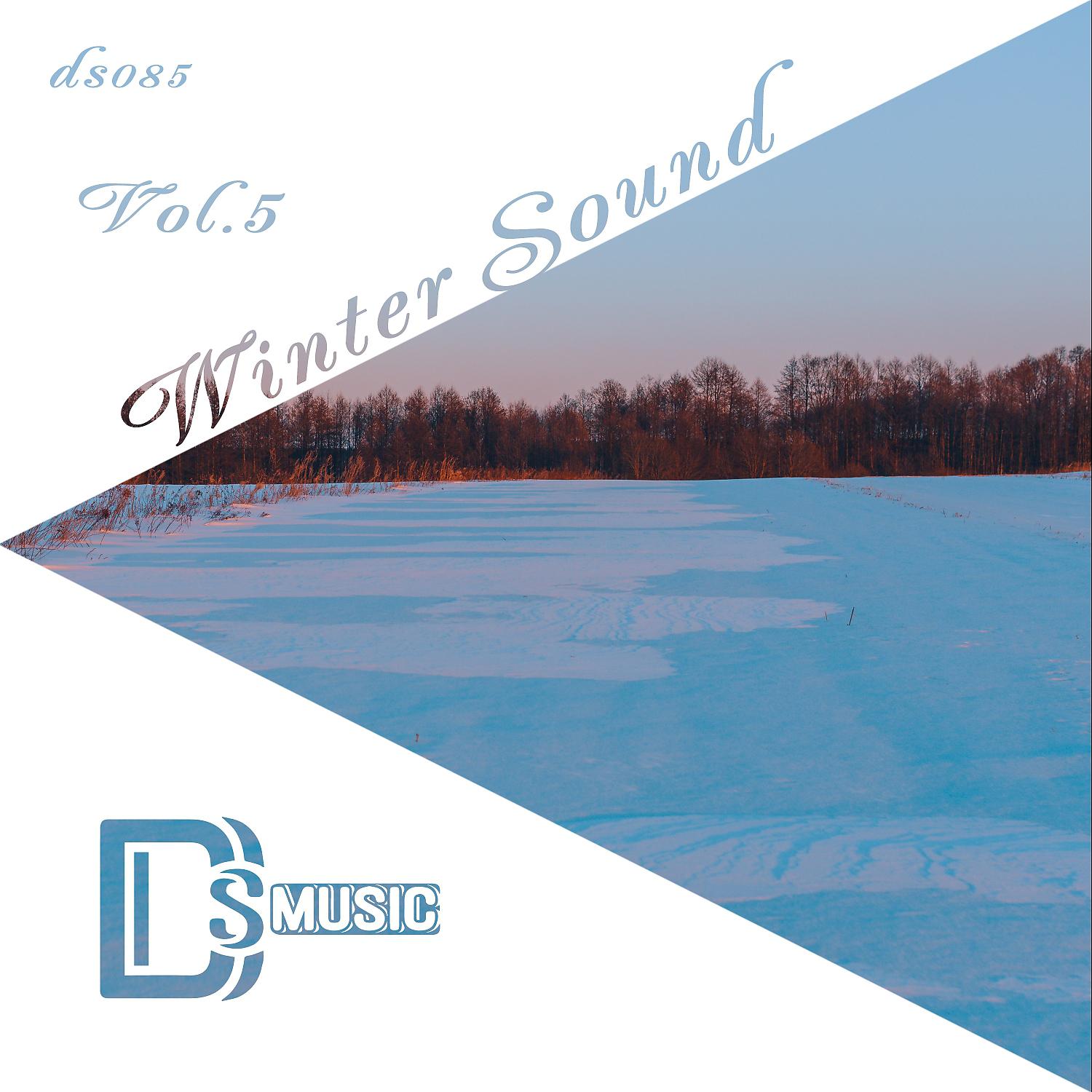 Постер альбома Winter Sound, Vol.5