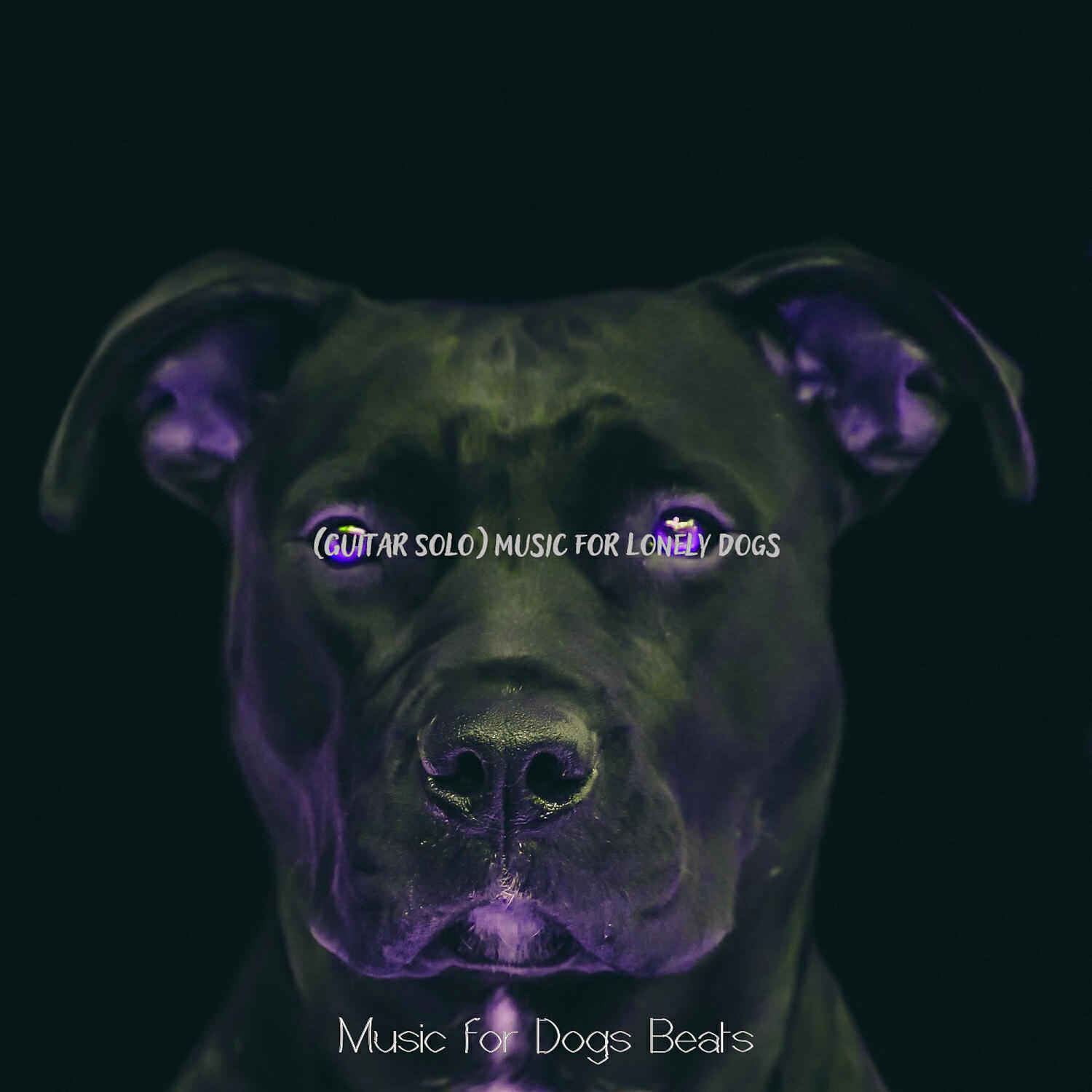 Music for Dogs Beats - Groovy Sleeping Dogs