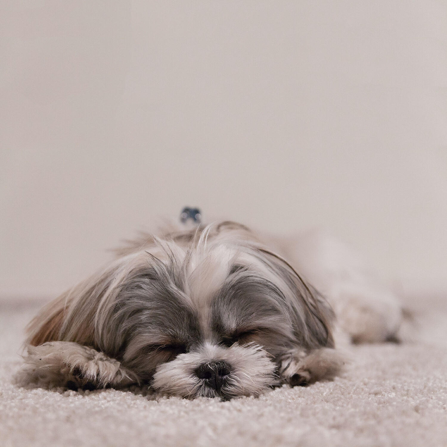 Sleep Sounds Of Nature - Deep Sleep and Napping Music