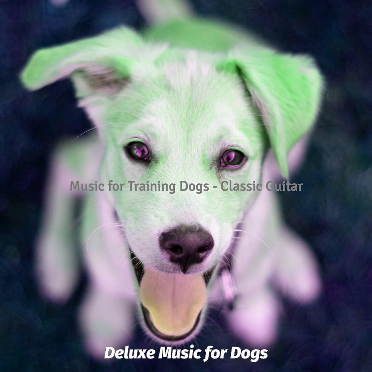 Deluxe Music for Dogs - Scintillating Ambiance for Training Dogs