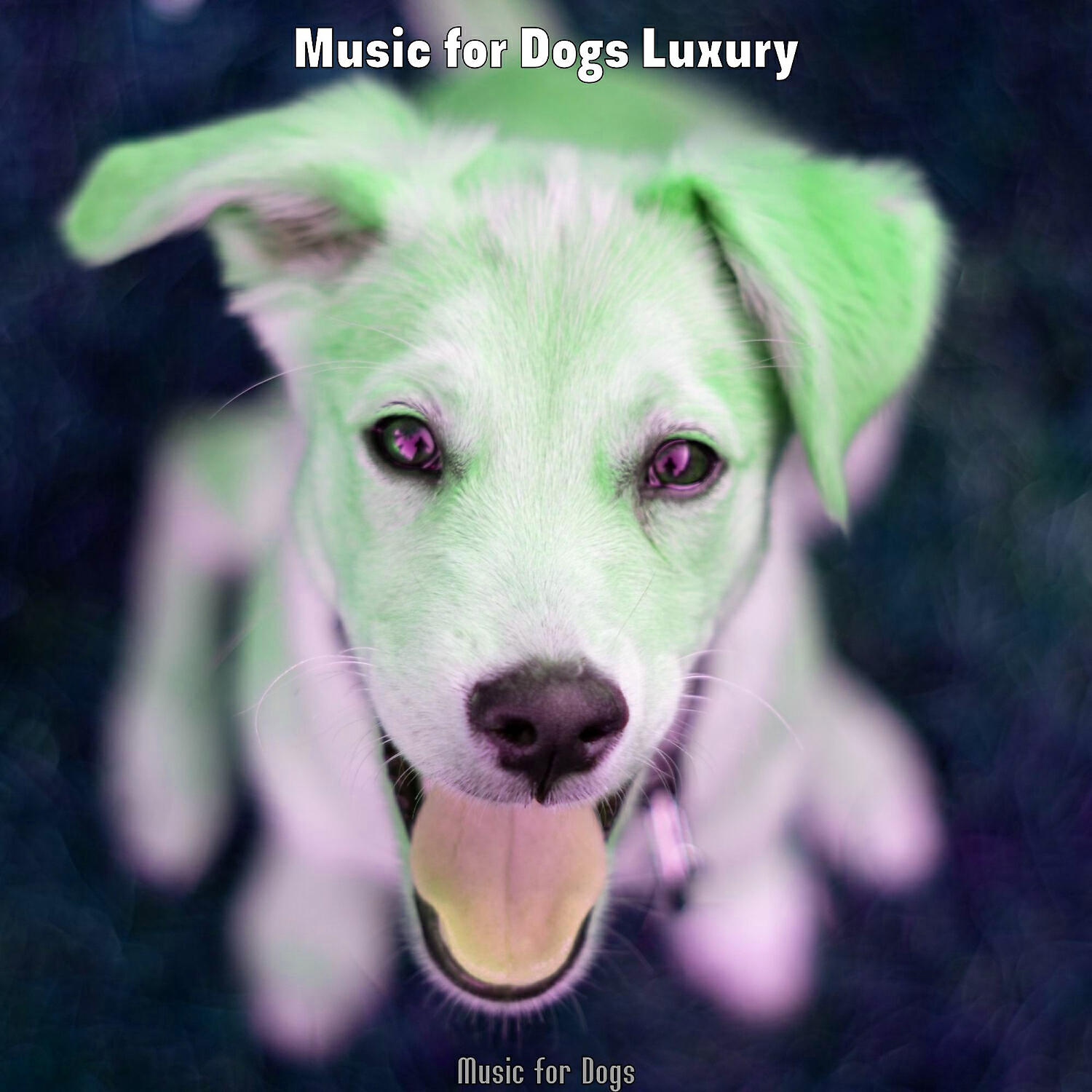 Music for Dogs Luxury - Trio Jazz Soundtrack for Lonely Dogs