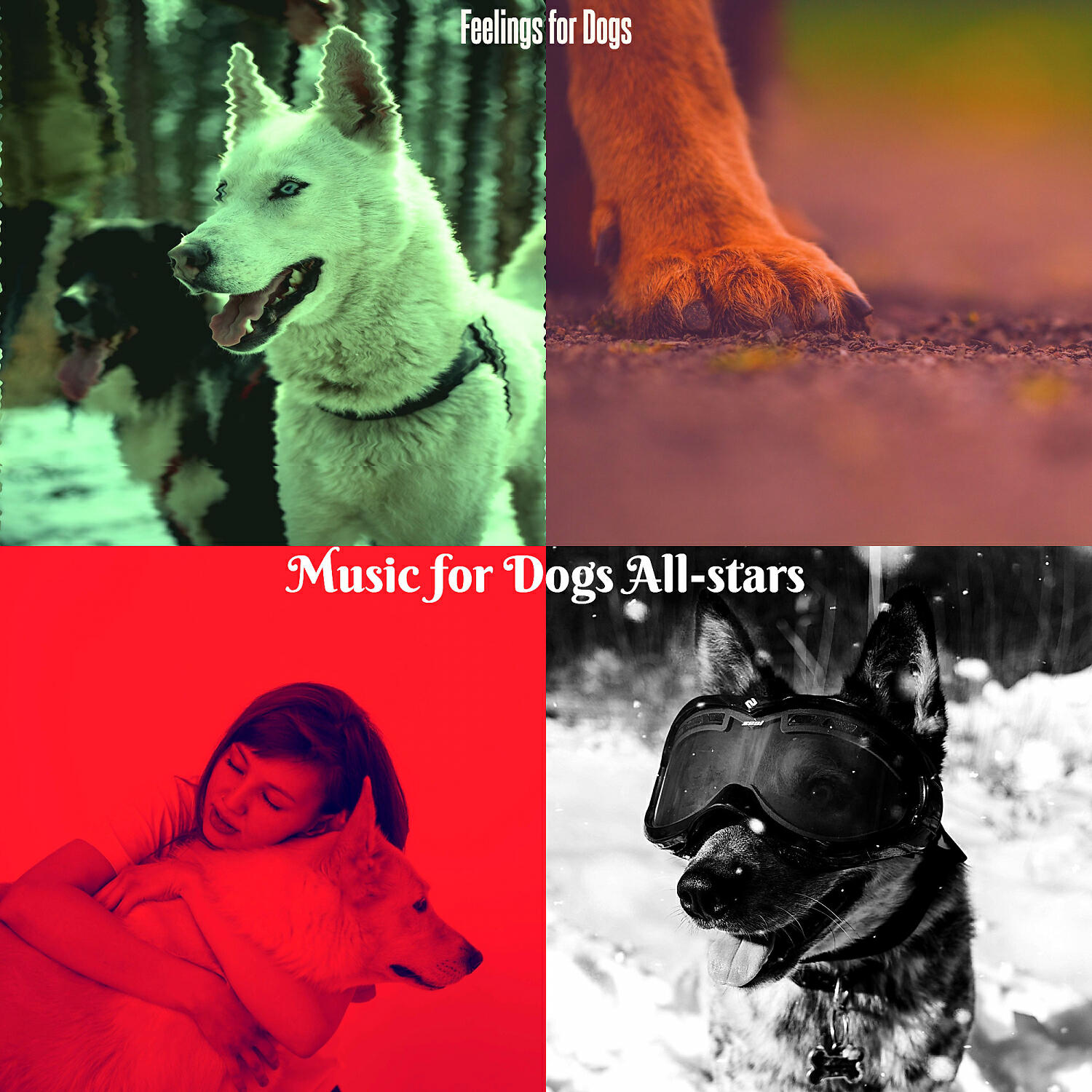 Music for Dogs All-stars - Trio Jazz Soundtrack for Training Dogs