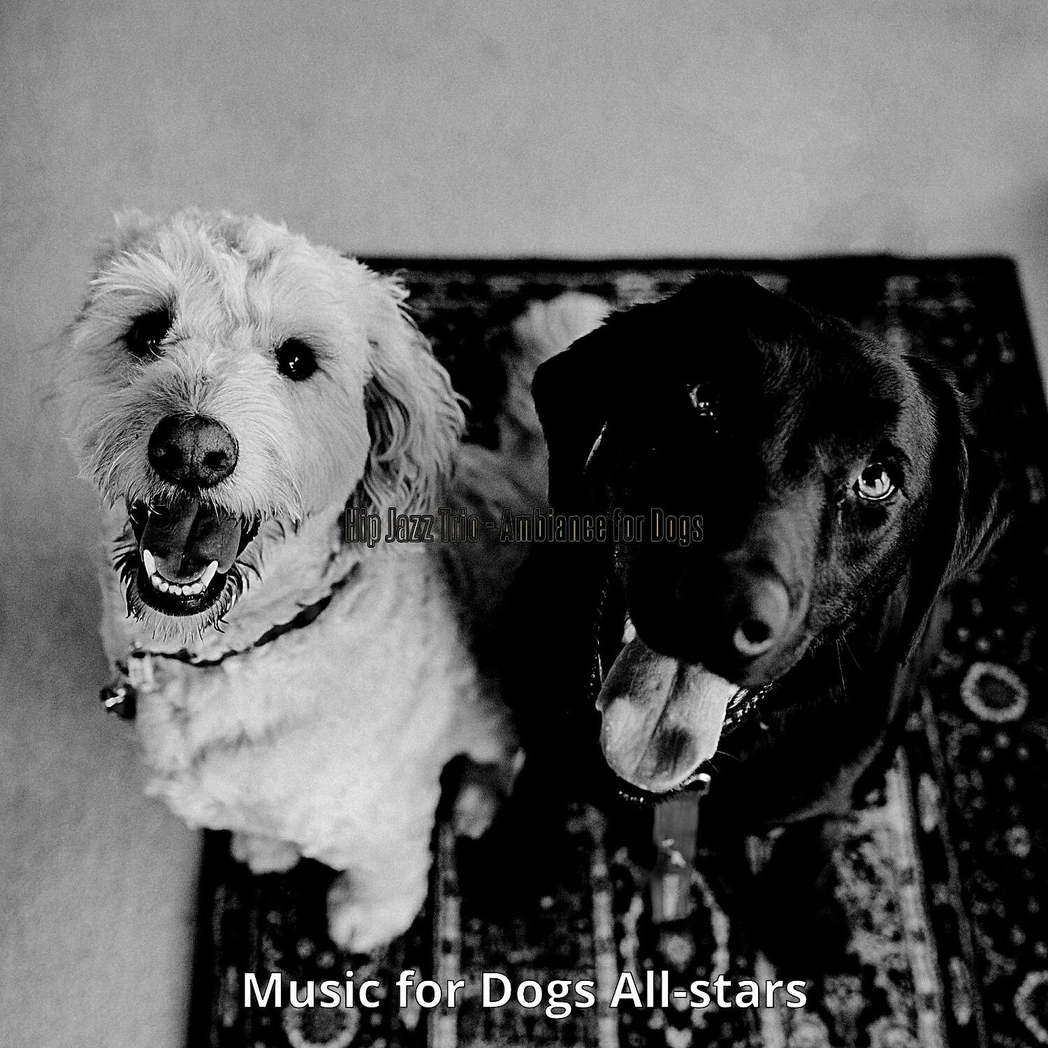 Music for Dogs All-stars - Trio Jazz Soundtrack for Training Dogs