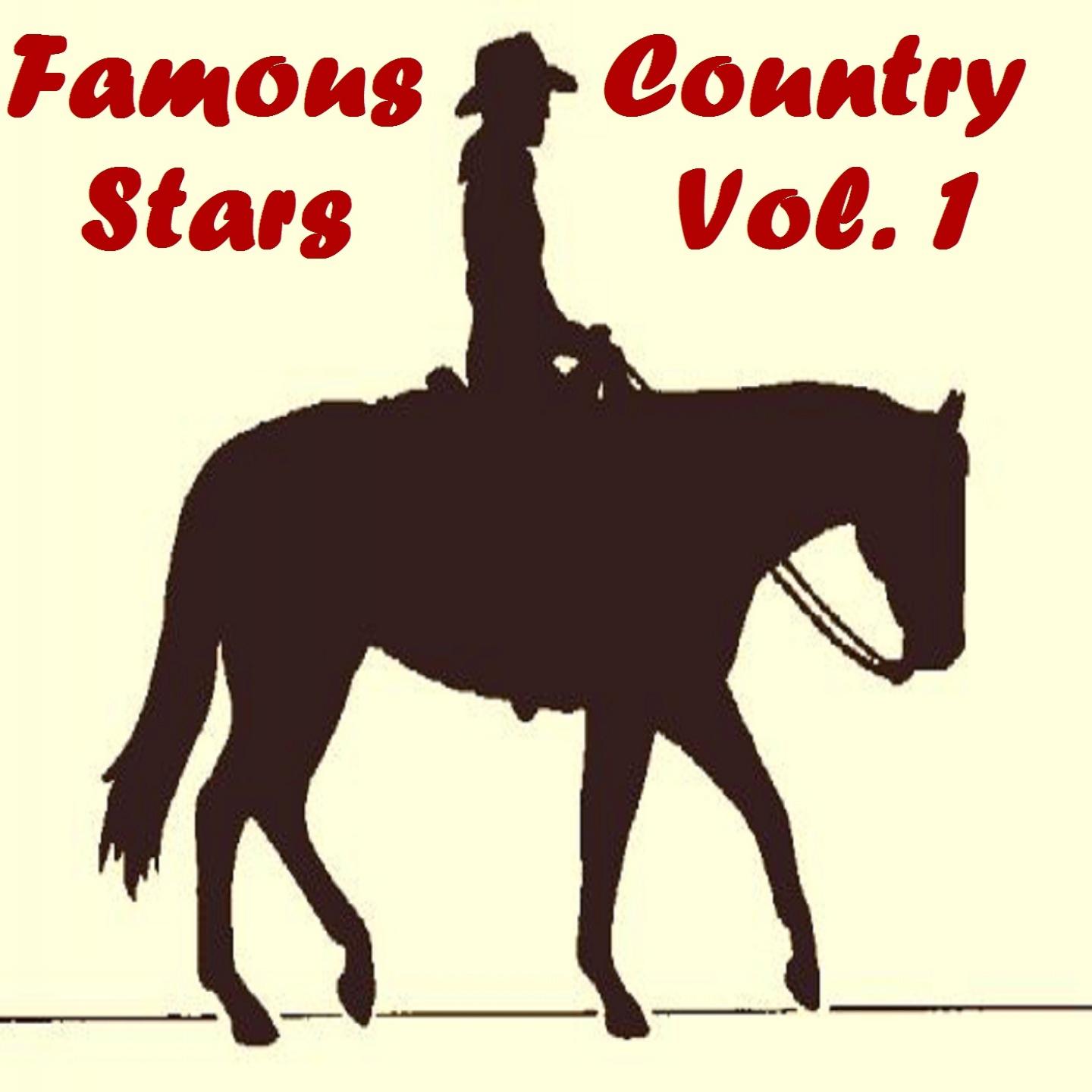 Постер альбома Famous Country Stars, Vol. 1