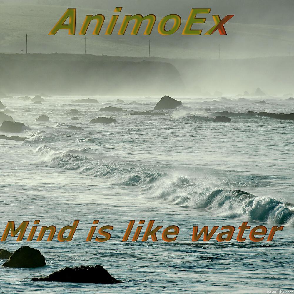 AnimoEx - Mind Is Like Water