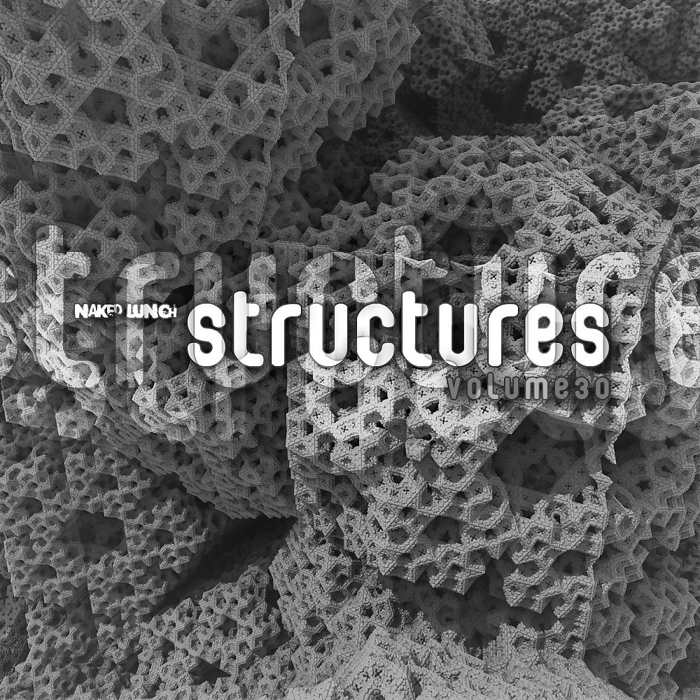 Постер альбома Structures Volume 30