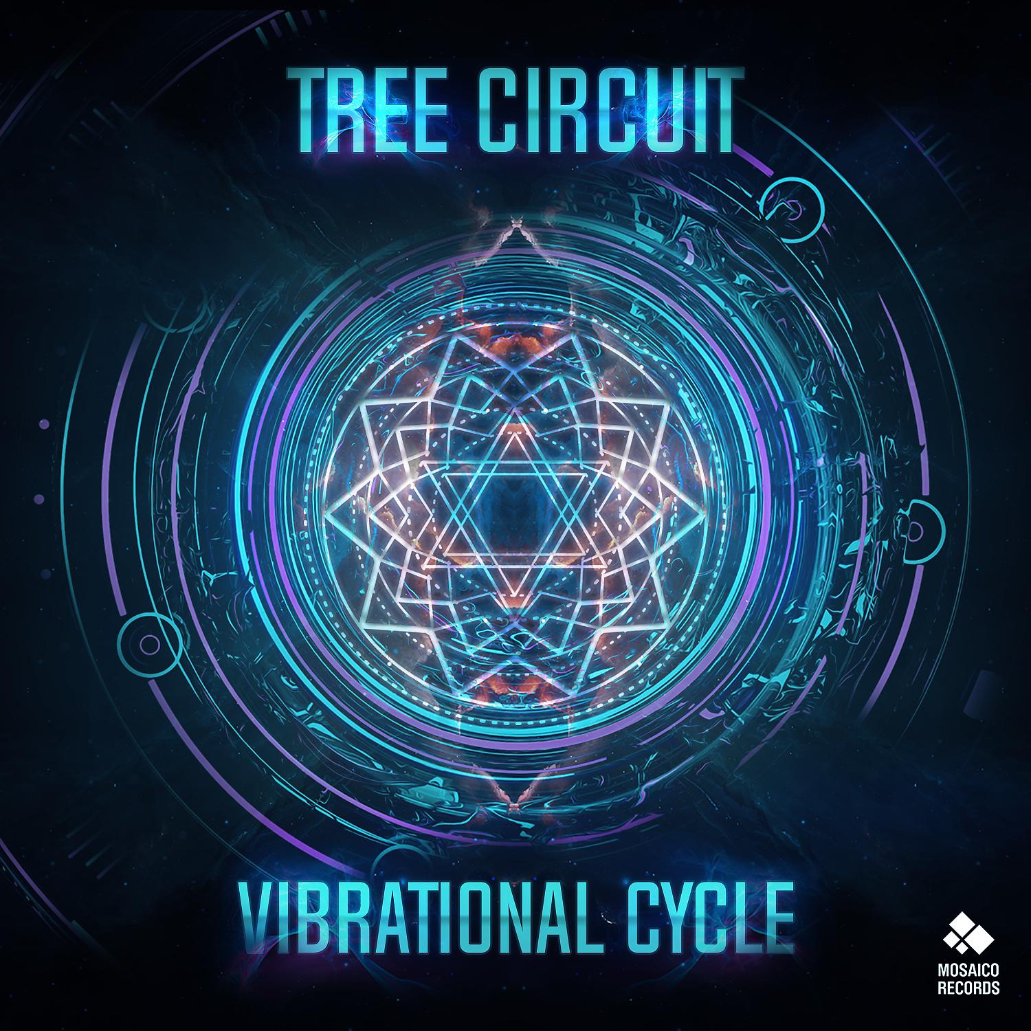 Постер альбома Vibrational Cycle