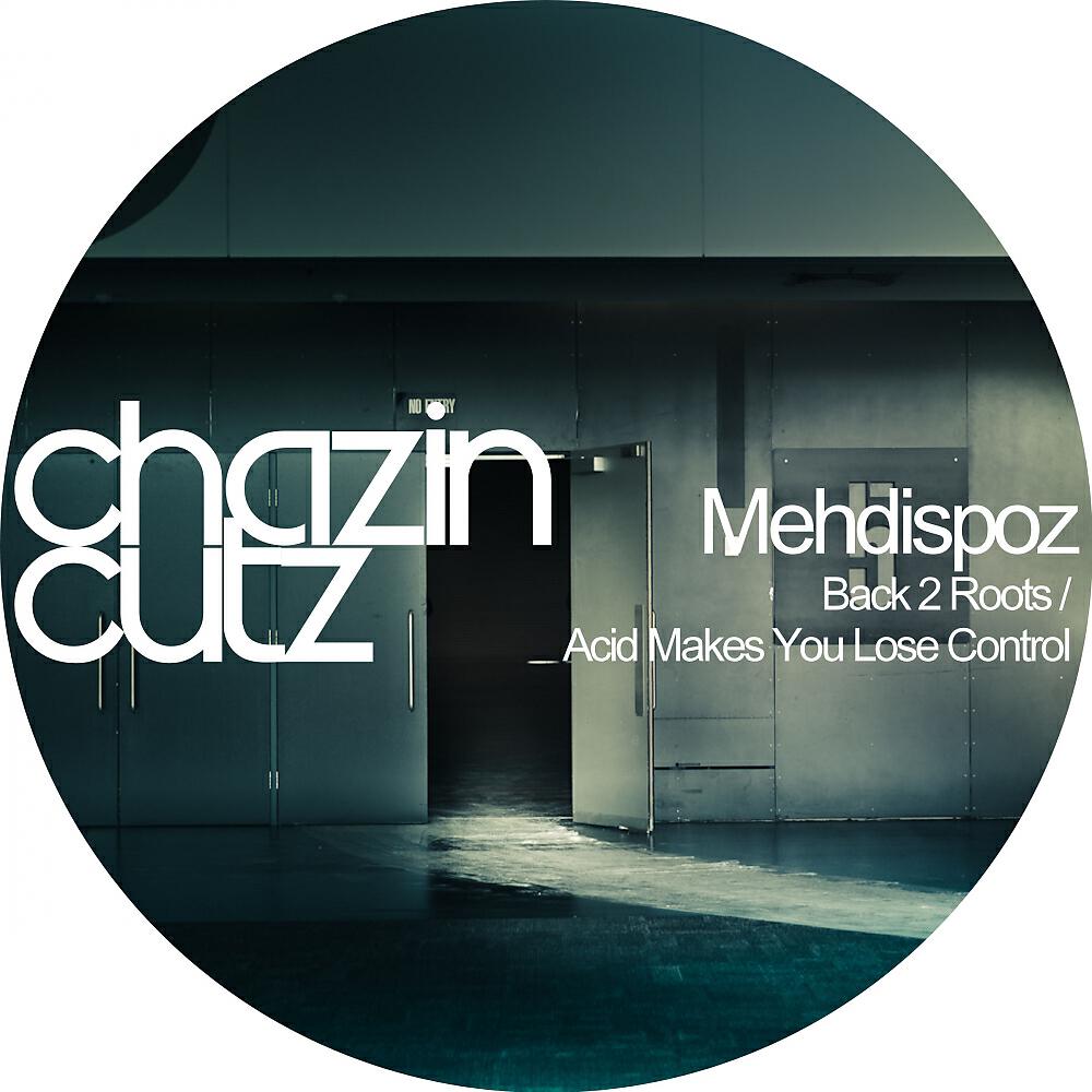 Mehdispoz - Back 2 Roots