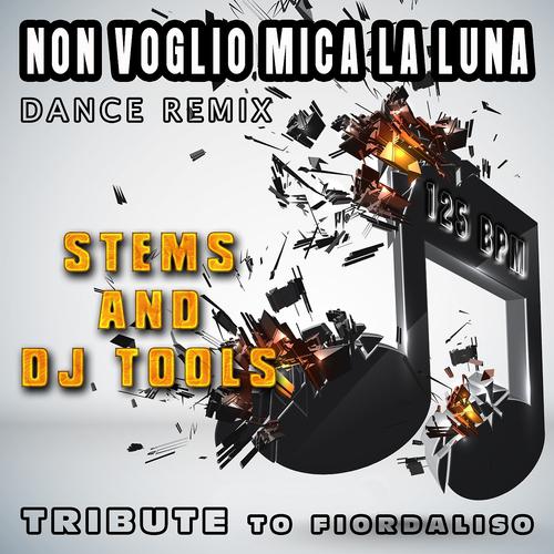 Постер альбома Non voglio mica la luna : Dance Remix, Stems and DJ Tools, Tribute to Fiordaliso