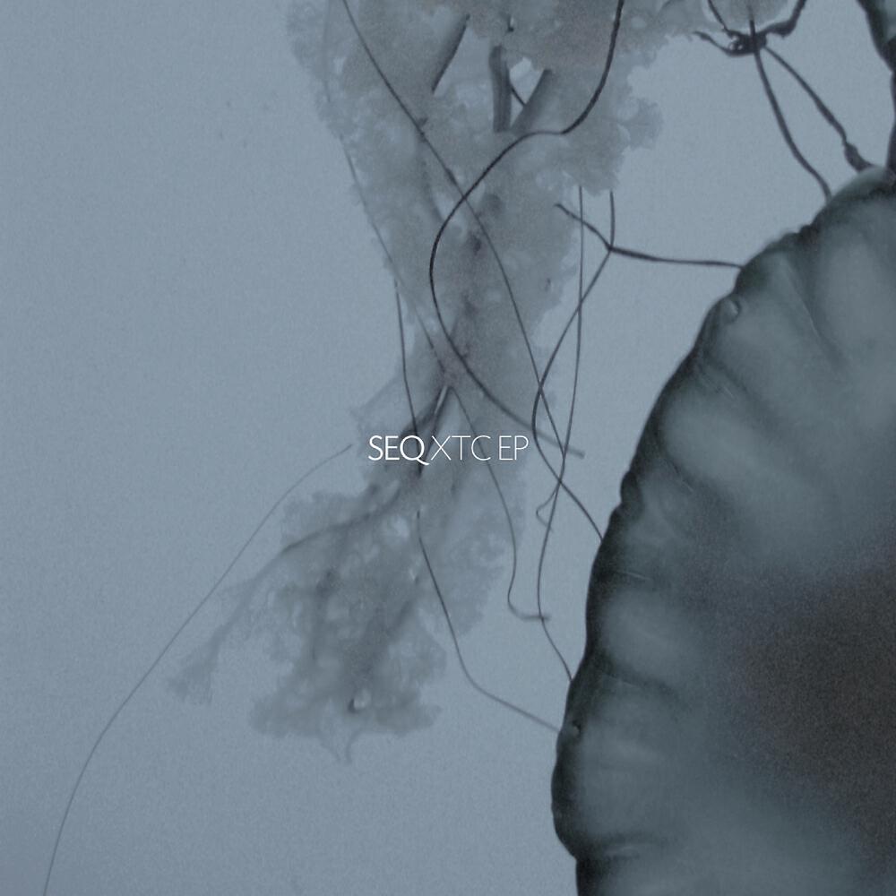 Seq - XTC (Rodrigo DP Remix)