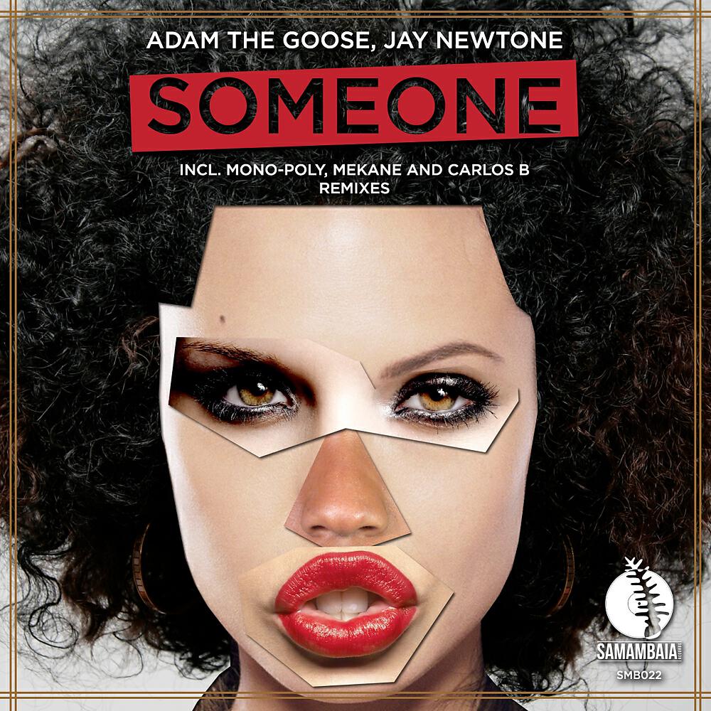 Adam The Goose - Someone (Mono-Poly Remix)