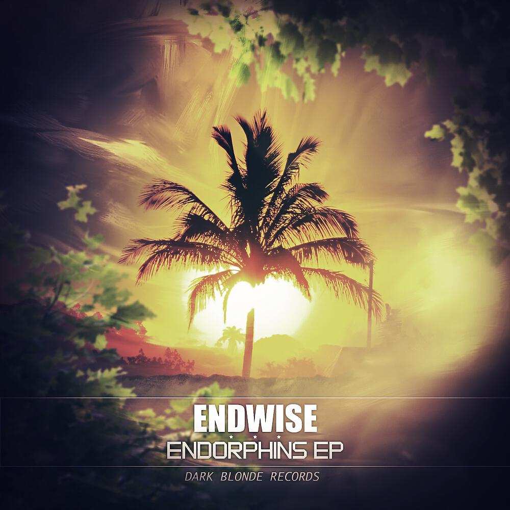 Endwise - Intergalactic Music