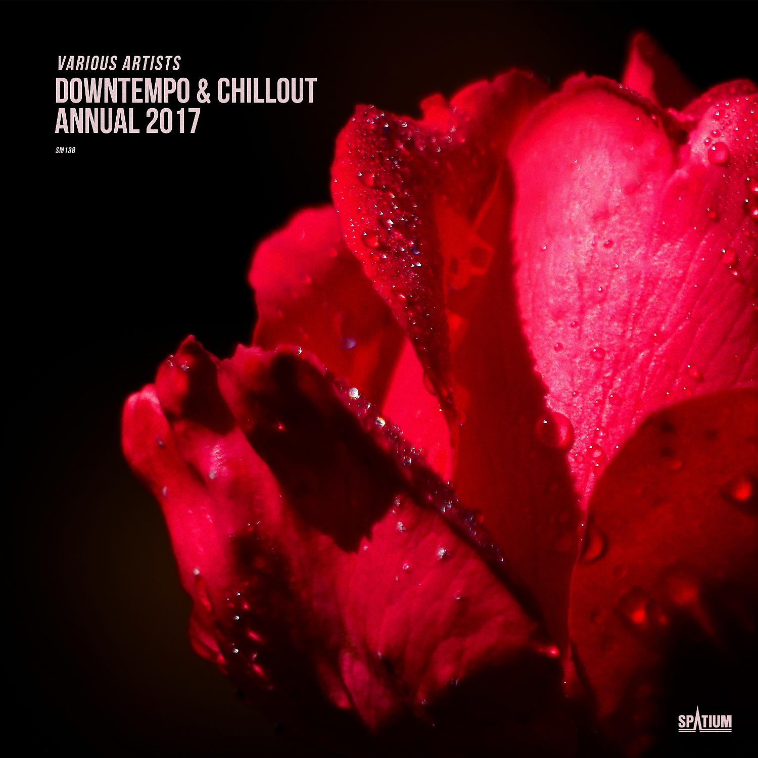 Постер альбома Downtempo & Chillout Annual 2017