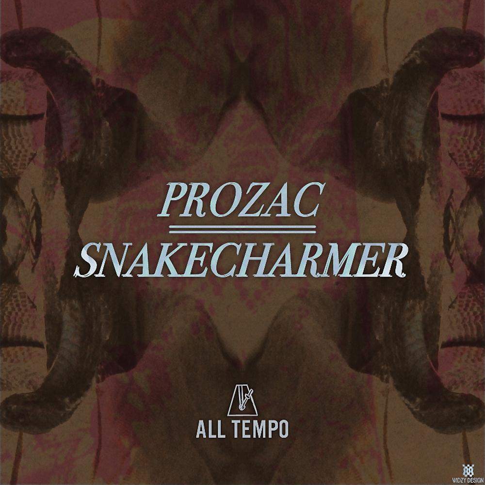 Постер альбома Snake Charmer
