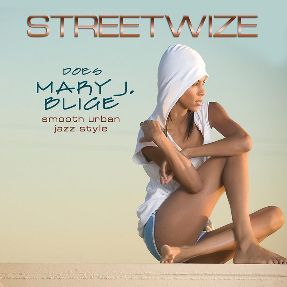 Постер альбома Streetwize Does Mary J. Blige