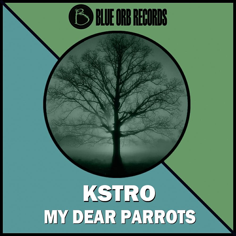 Kstro - My Dear Parrots (Andres Aguirre Remix)