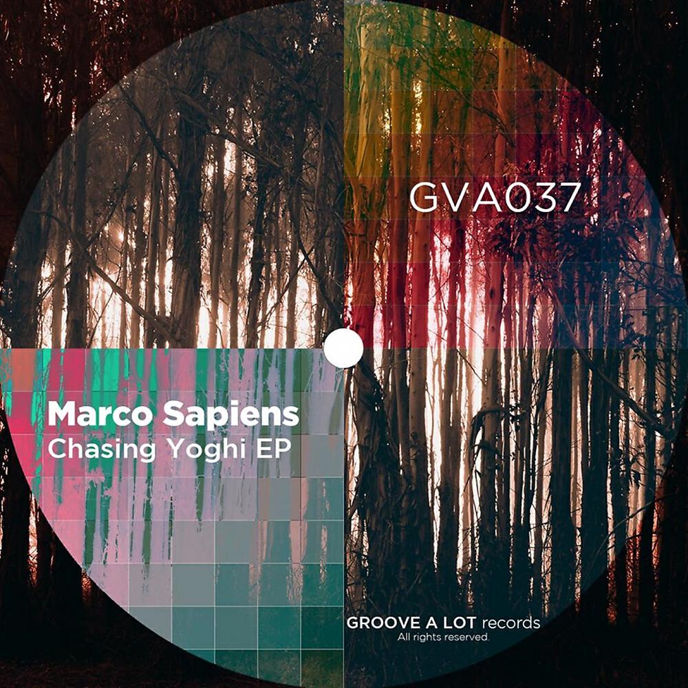 Marco Sapiens - Chasing Yoghi