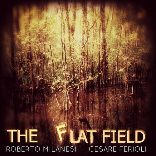 Постер альбома The Flat Field