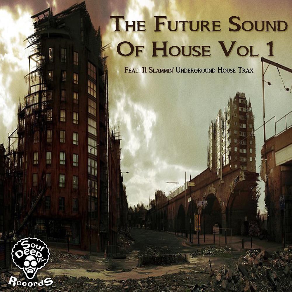 Постер альбома The Future Sound Of House Vol 1