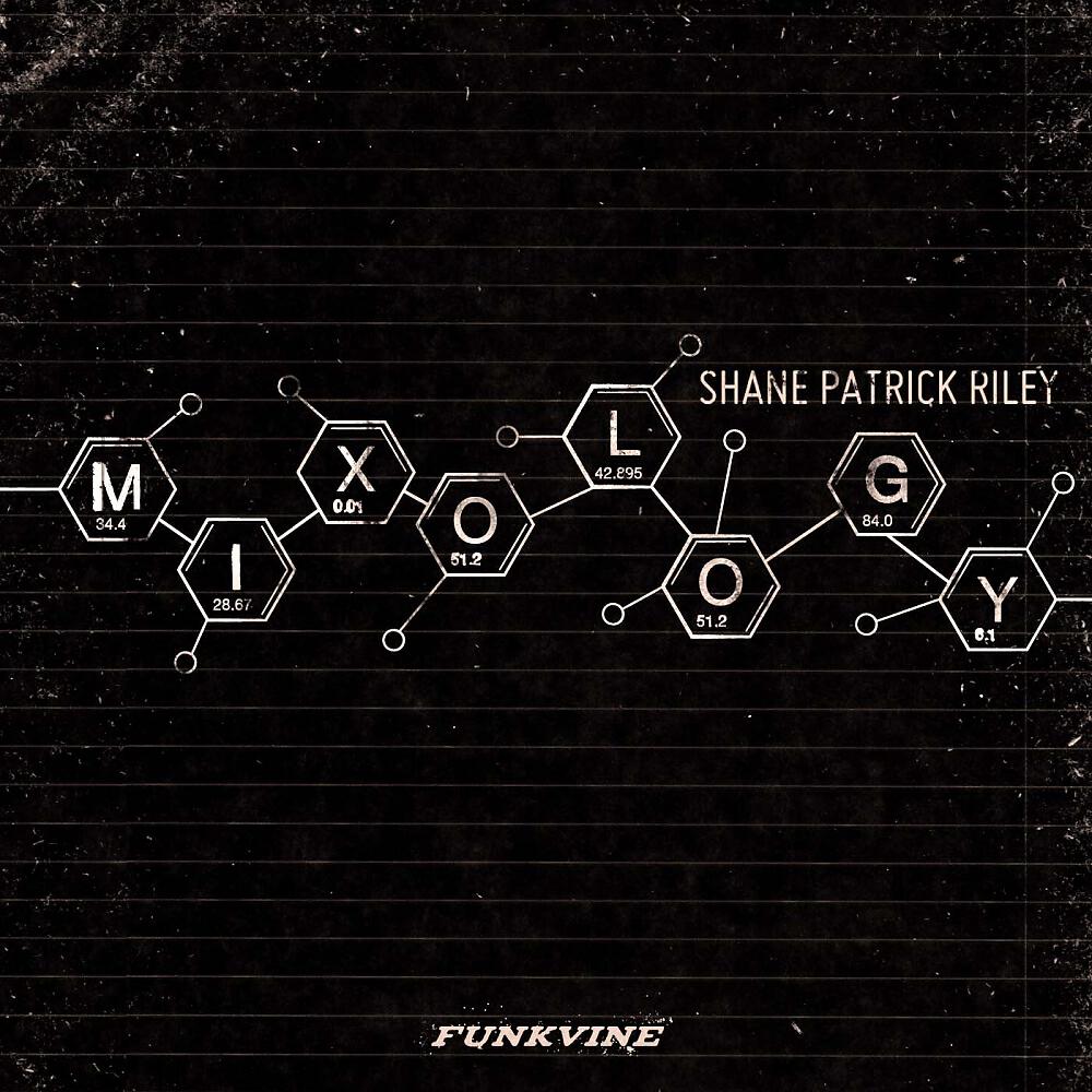 Shane Patrick Riley - Rooney's Groove