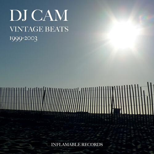 DJ Cam - Bounce Nil
