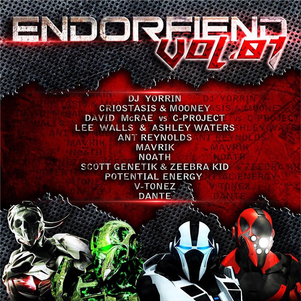 Постер альбома Endorfiend Vol 01