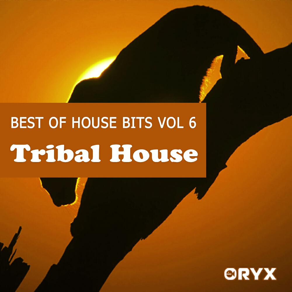 Bush II Bush - Gold Rush (Dub Mix)