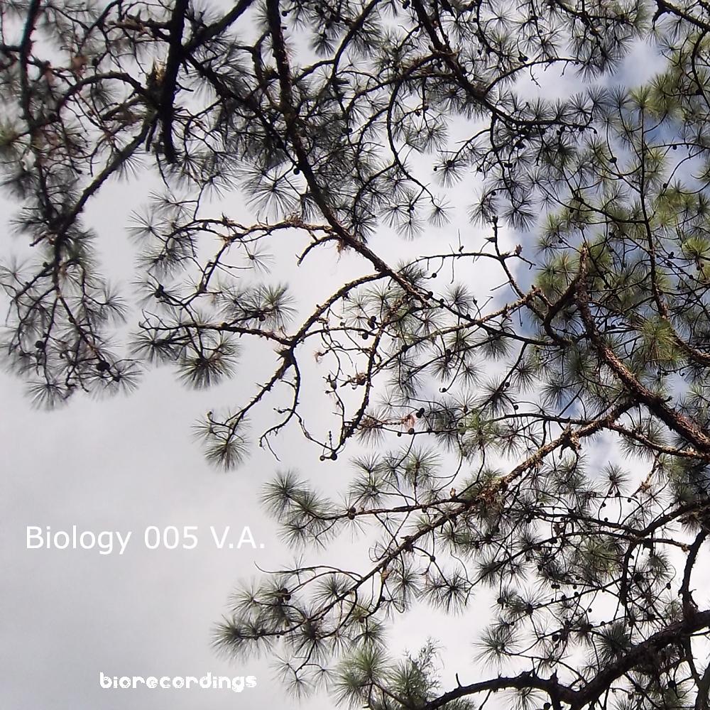 Постер альбома Biology 005 VA