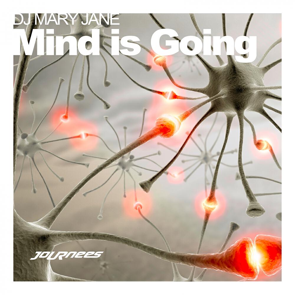 DJ Mary Jane - Mind Is Going