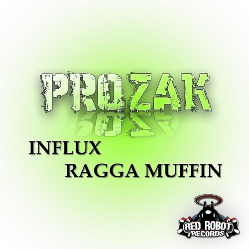 Постер альбома Influx / Ragga Muffin
