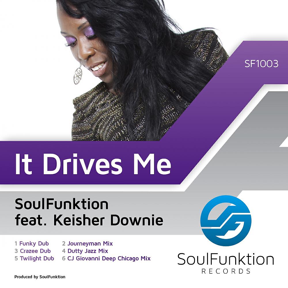 SoulFunktion - It Drives Me (Twilight Dub)