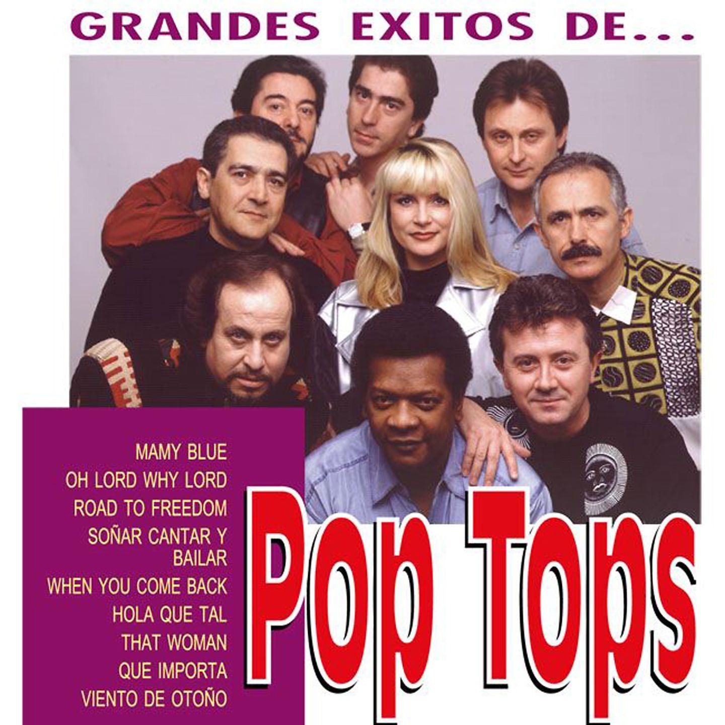 Постер альбома Los Grandes Exitos de Pop Tops